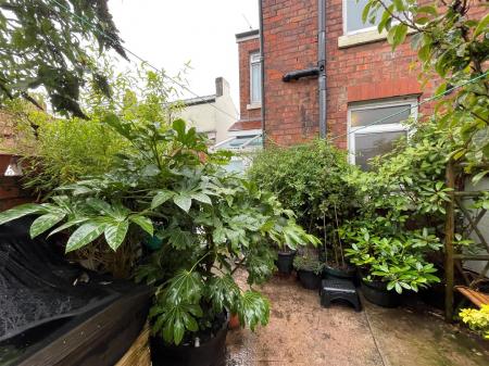 Mount Terrace Rear Garden