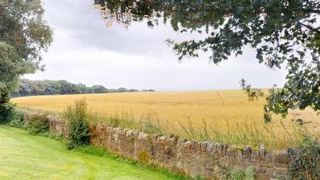 Beacon Road View