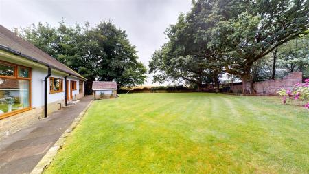 Beacon Road Rear Garden