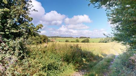 Pimbo Lane Farmland Views