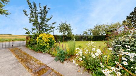 Crank Hill Garden