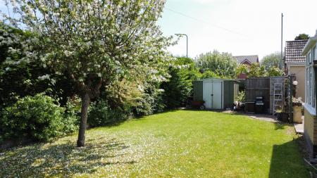 Side Garden