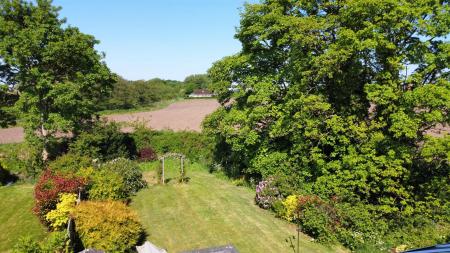 Pine Dale Rear Garden