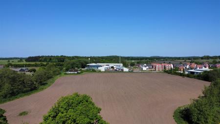Pine Dale Views