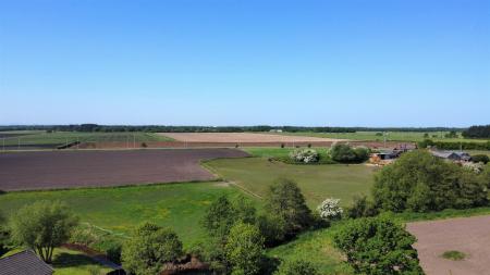Pine Dale Views