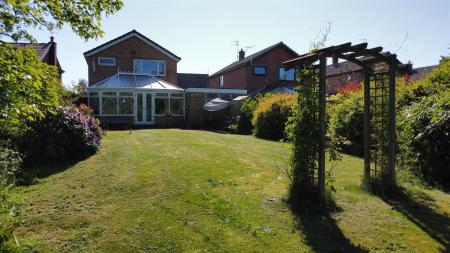 Pine Dale Rear Garden