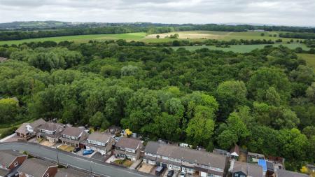 Renfrew Avenue Woodlands