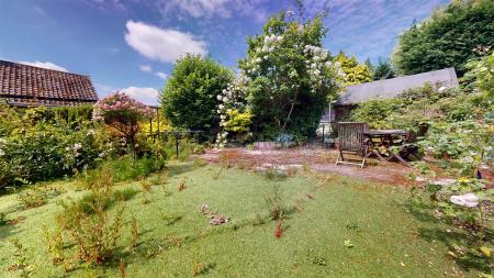 Hilltop Road Back Garden