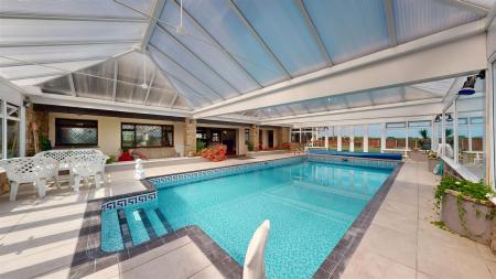 Red Cat Lane Swimming Pool