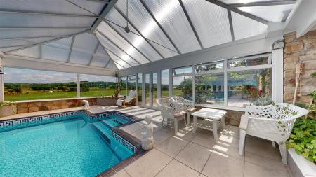 Red Cat Lane Swimming Pool