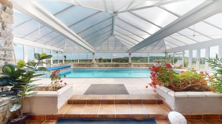 Red Cat Lane Swimming Pool