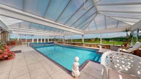 Red Cat Lane Swimming Pool