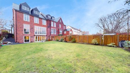 Argyle Road Rear Garden