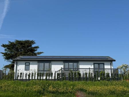 External