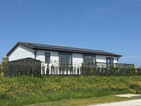 External
