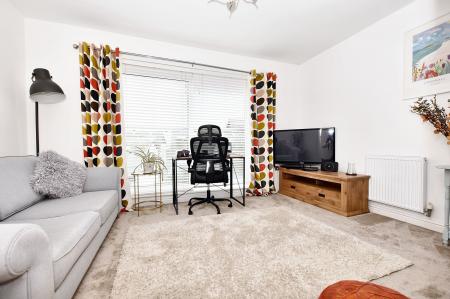 Lounge/Bedroom 2