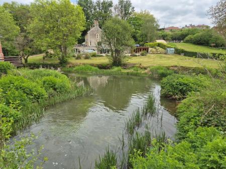 Communal Gardens