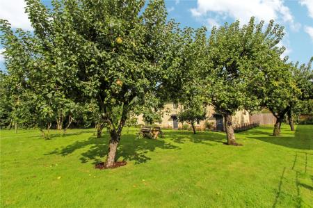 Communal Orchards