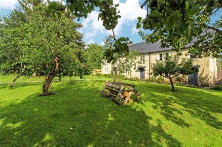 Communal Orchard