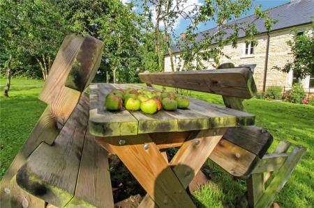 Communal Orchard