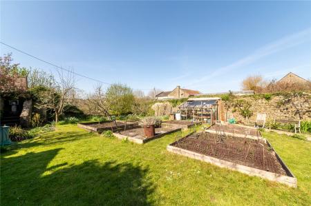 Veg Patch