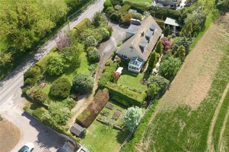 Plot View