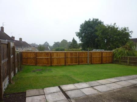 BACK GARDEN