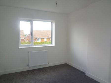 Photo 05