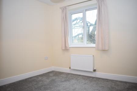 Photo 07