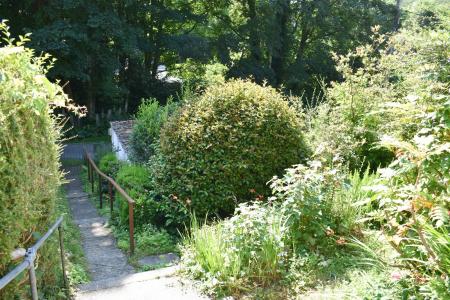 Steps and Garden