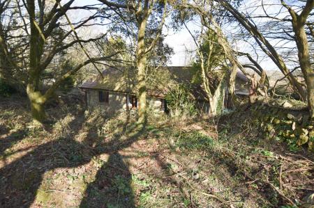 Wooded Grounds