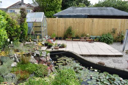 Pond/Garden
