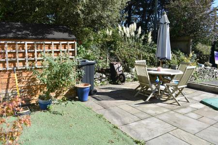 Patio Area