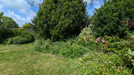 PXL_20250528_104417184.jpg