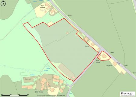 Promap-3198035-3294459.jpg
