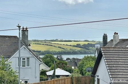 IMG_5216a.jpg