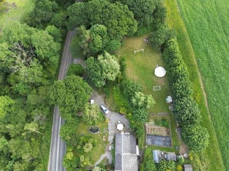 dji_fly_20250623_190156_30_1750702276812_photo.JPG
