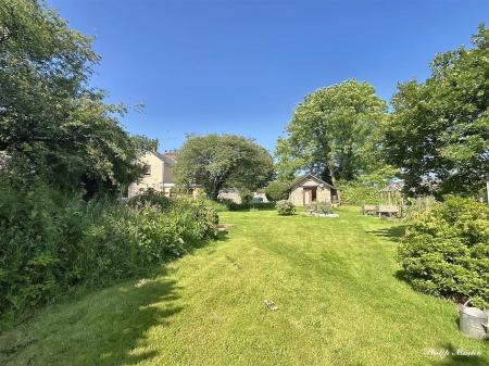 Garden 7.jpg