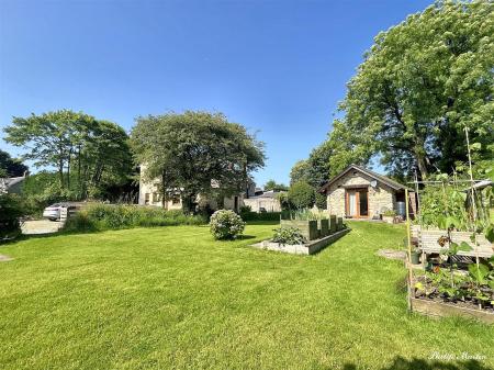 Garden 6.jpg