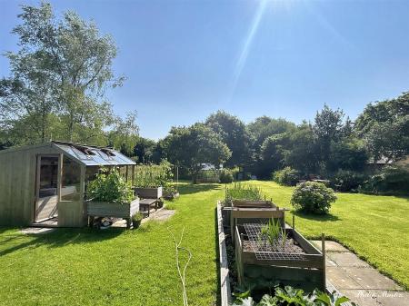 Garden 5.jpg