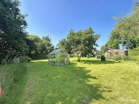 Garden 2.jpg