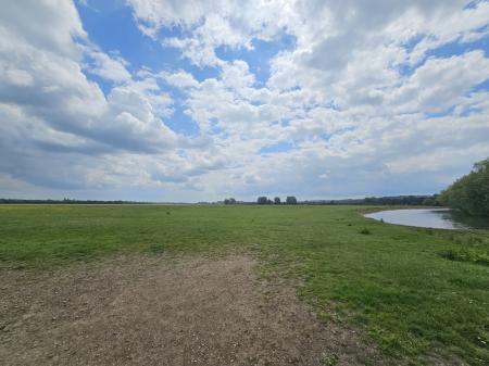 Port Meadow