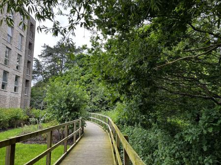 Outdoor Walkway