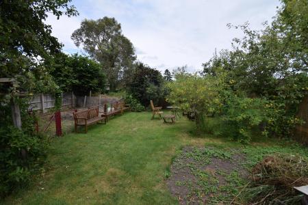 Garden 3