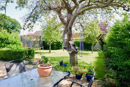 Patio & Rear Garden