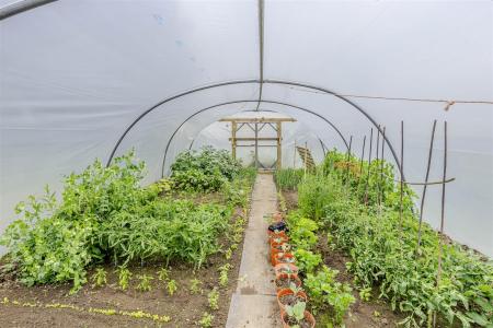 Poly Tunnel