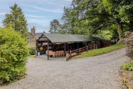 Entertaining and Socialising Area