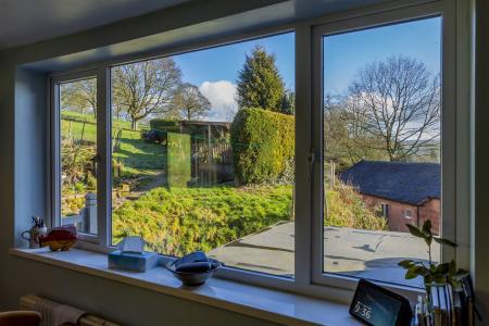 View From Kitchen