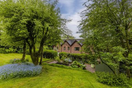 Rear Gardens