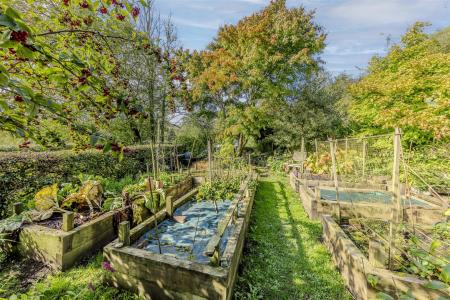 Raised Vegetable Beds